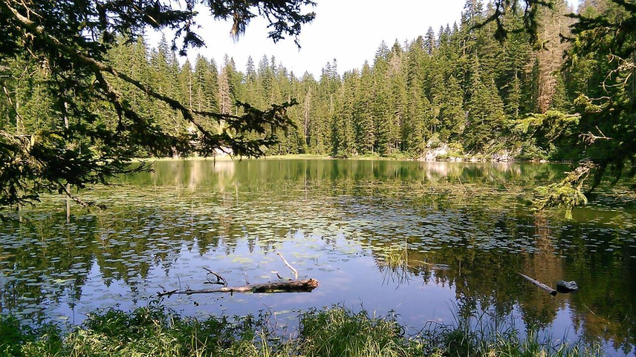 Cottage Bosaca Žabljak 外观 照片