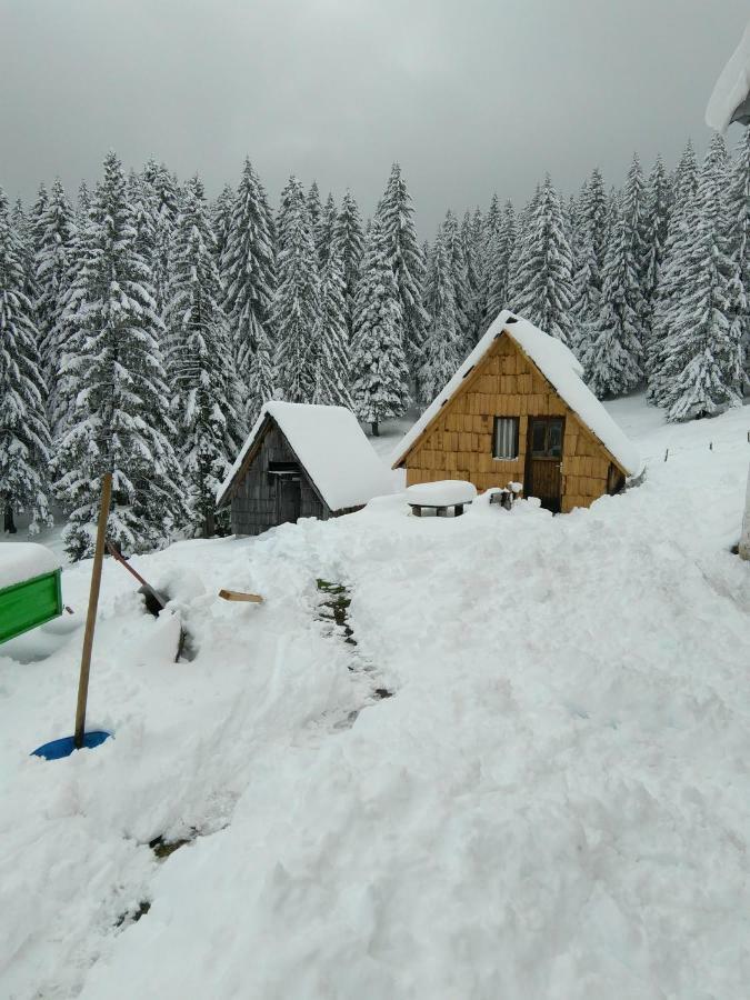 Cottage Bosaca Žabljak 外观 照片