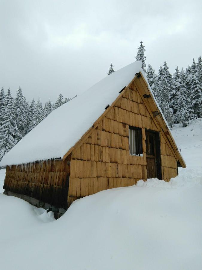 Cottage Bosaca Žabljak 外观 照片