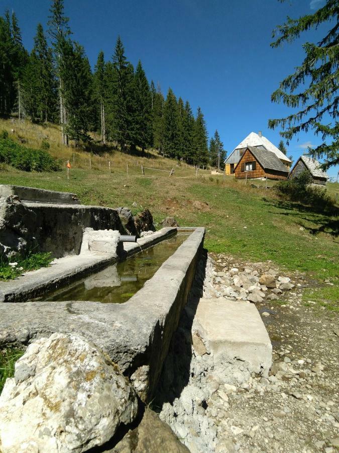 Cottage Bosaca Žabljak 外观 照片