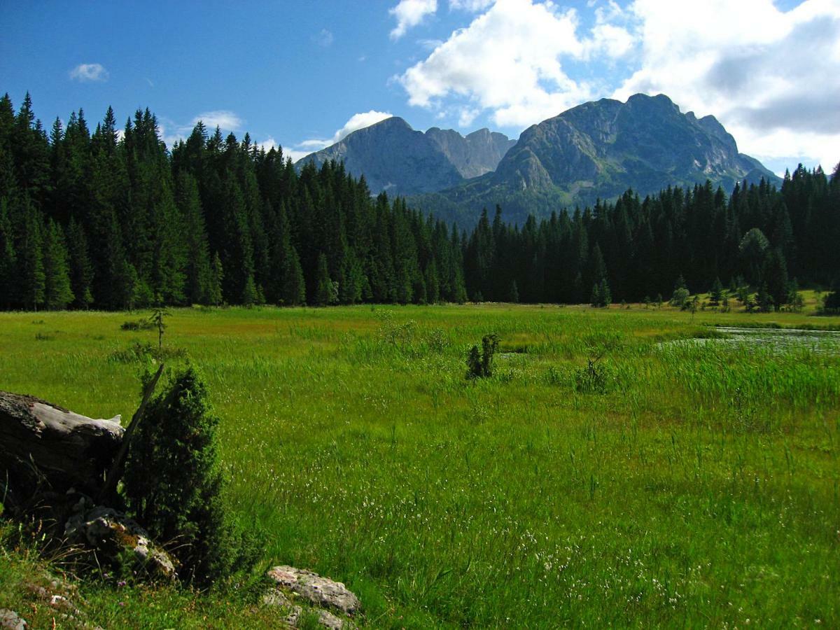 Cottage Bosaca Žabljak 外观 照片
